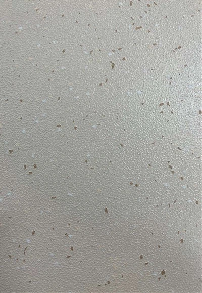 Veřejná doprava PVC podlahové role